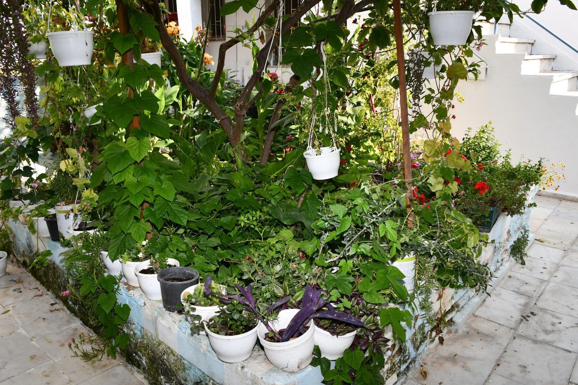 Suat Butik