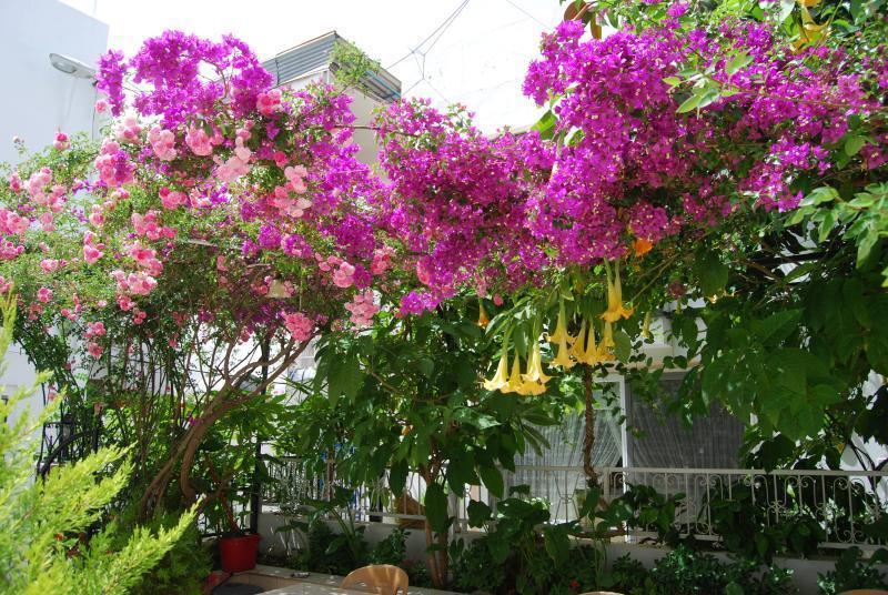 Bed & Breakfast Kale Bodrum