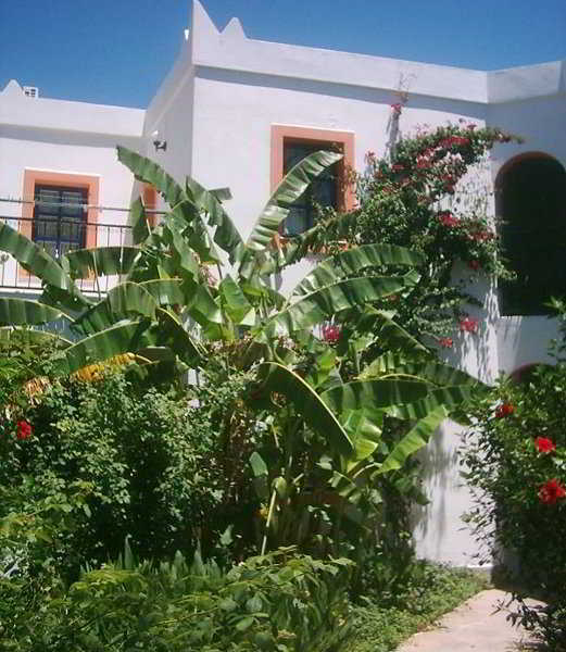 Apartment Hadi