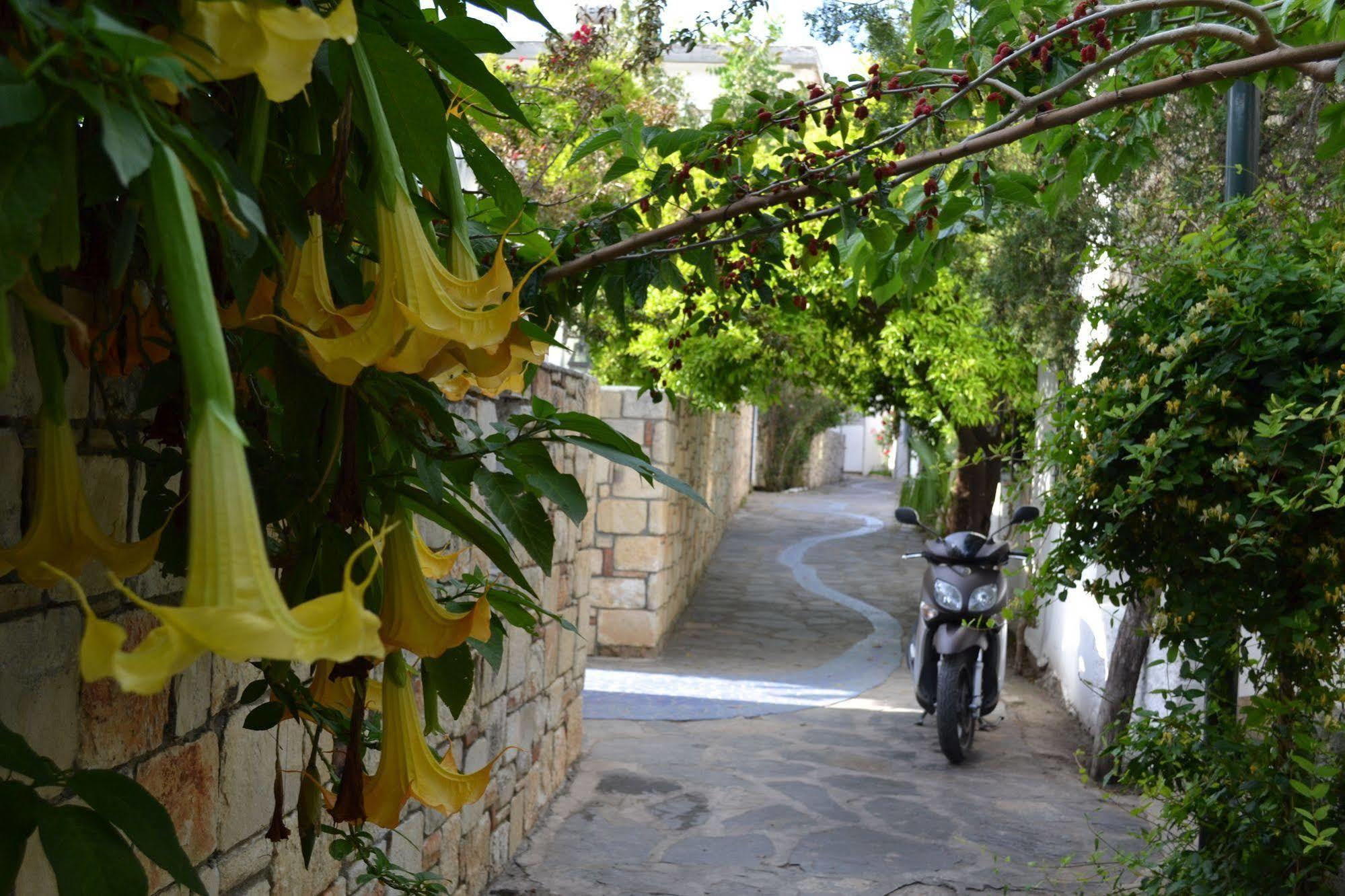 Su - Bodrum
