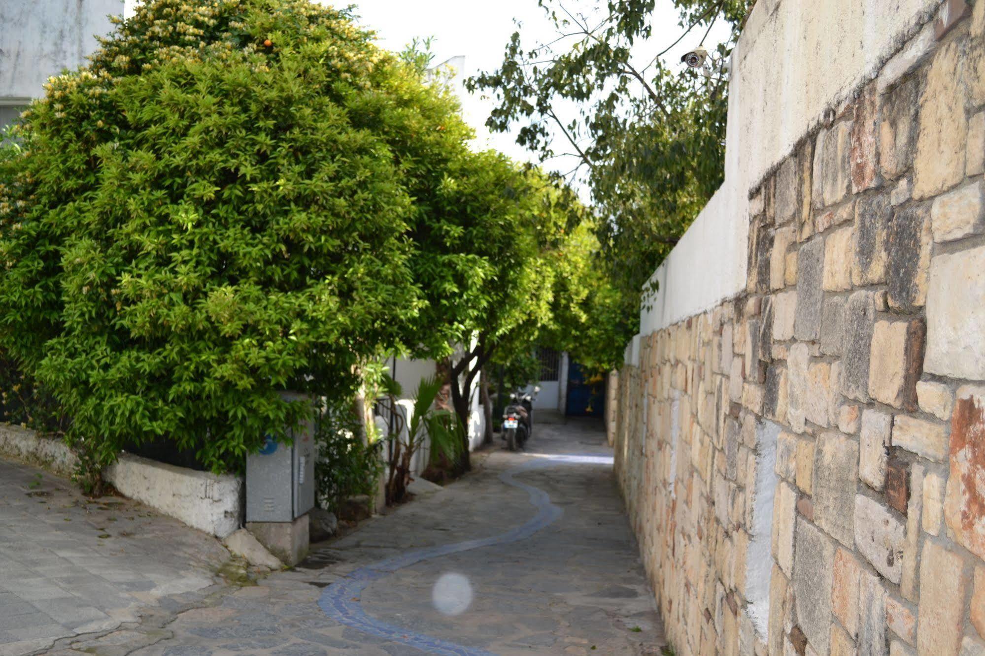Su - Bodrum