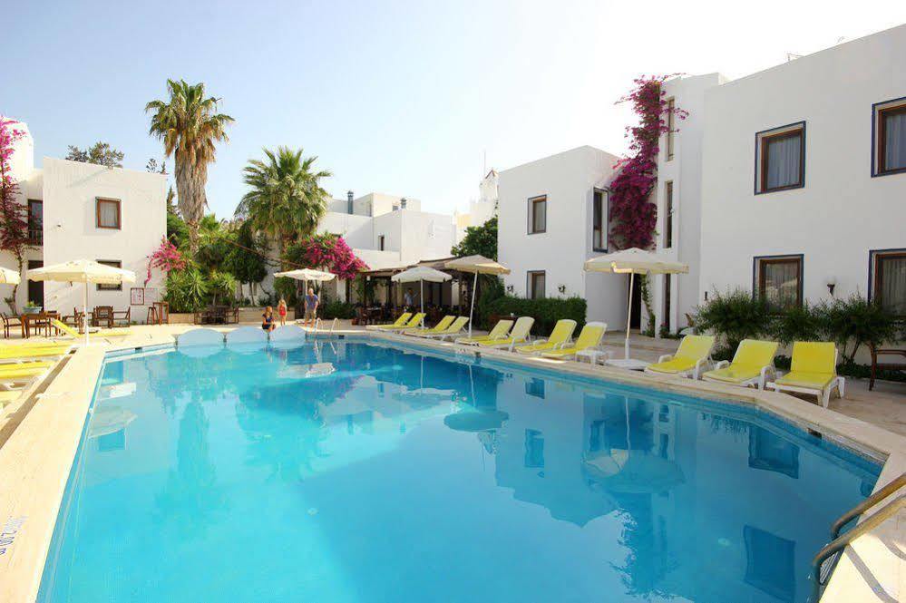 Le Chance & Otel