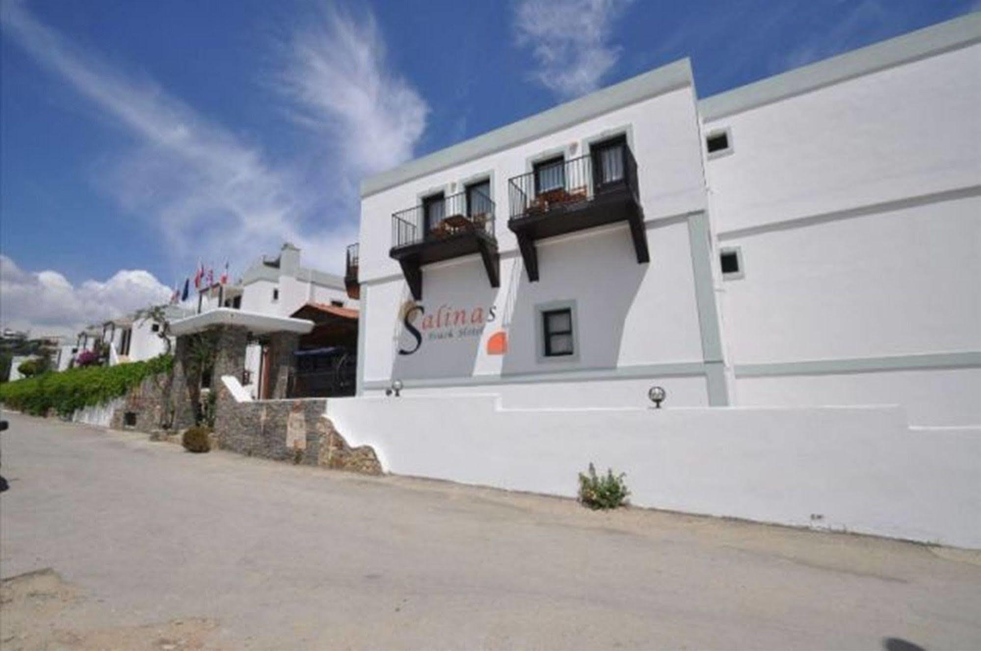 Salinas Bodrum-boutique Concept 3* Bodrum