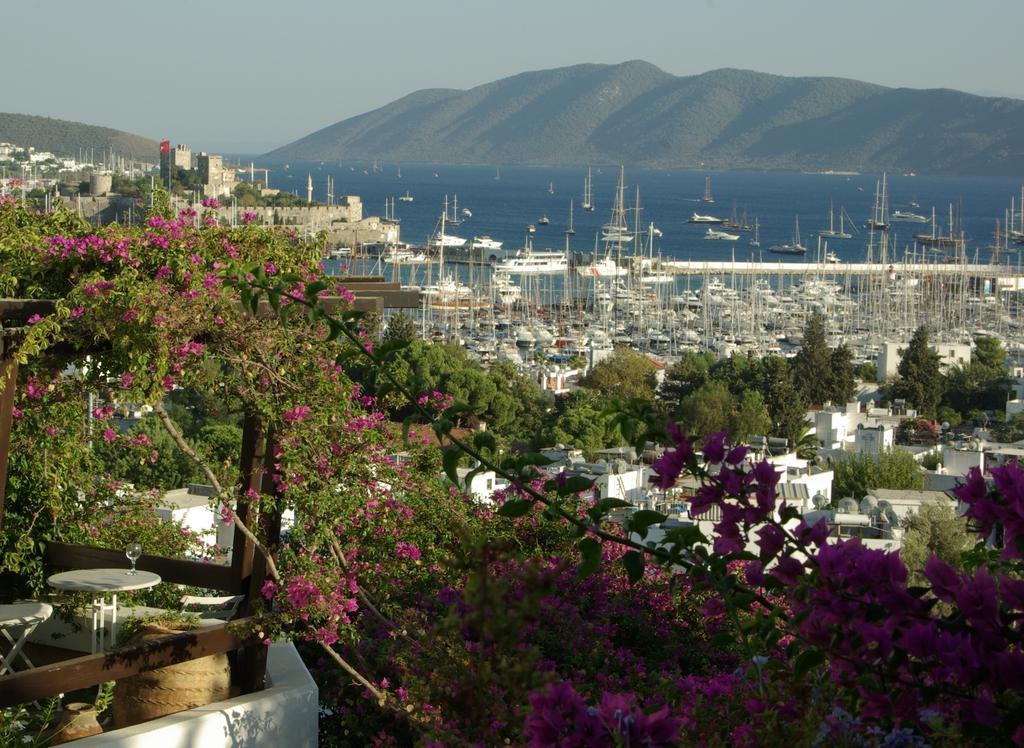 Antique Theatre 3* Bodrum
