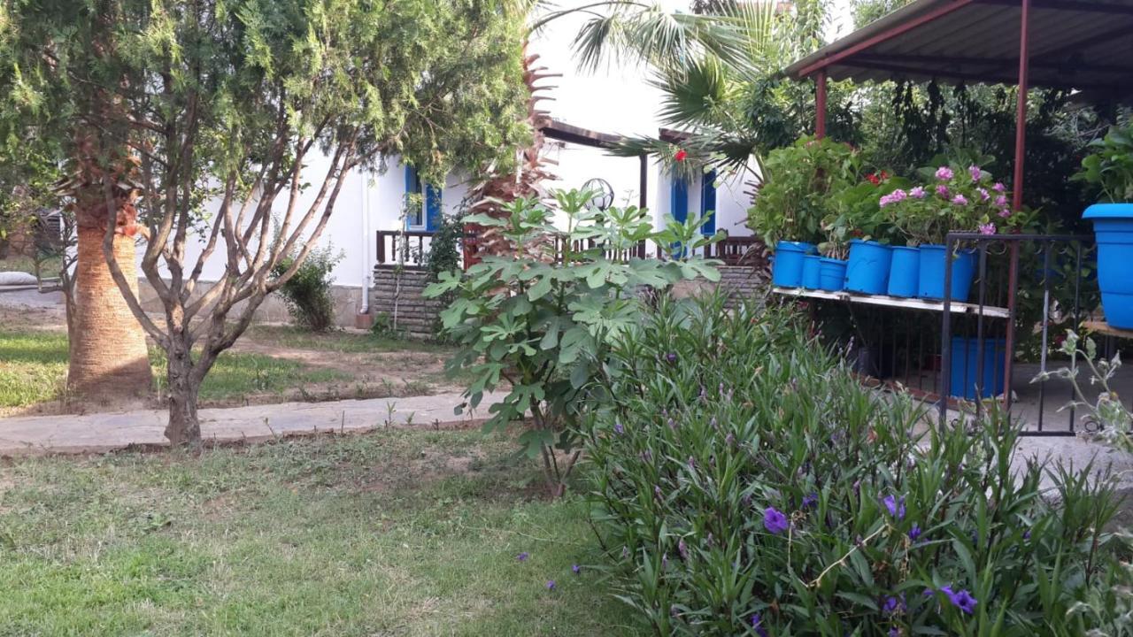 Alfa Aparthotel