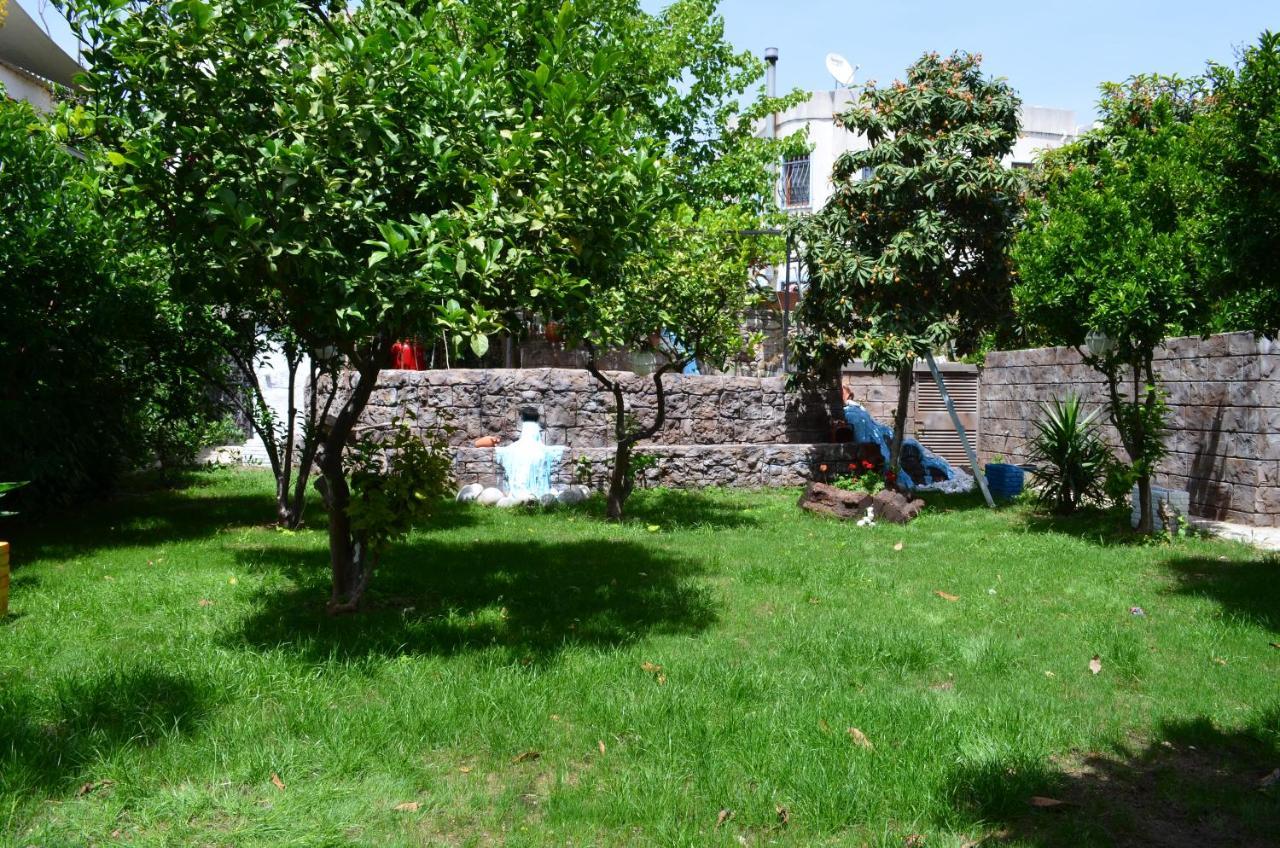 Hotel Double Marina 3*